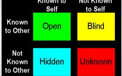 Why You Are Most Blind to Your Own Business Mistakes