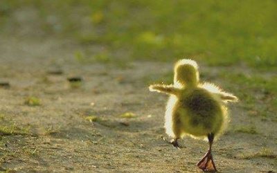 Small Steps Are Best