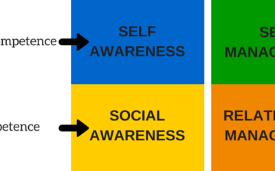 Are you afraid your lack of social and emotional intelligence is killing your business success?