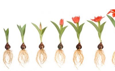 Why you need a sense of progress in your life each day