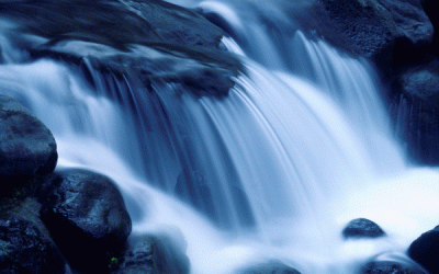 How to develop an ABUNDANCE Mindset in a world focused on SCARCITY