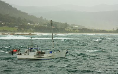 What anchors you in turbulent times?