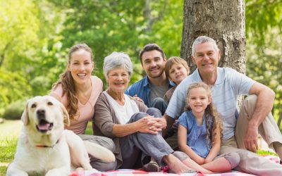 5 essentials to long-term business success