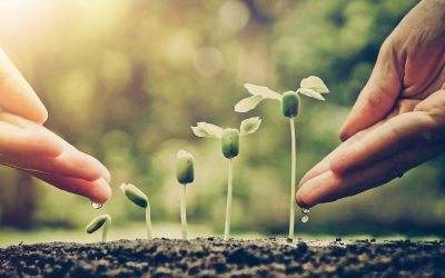 Small changes can kickstart new and significant growth for you in 2026